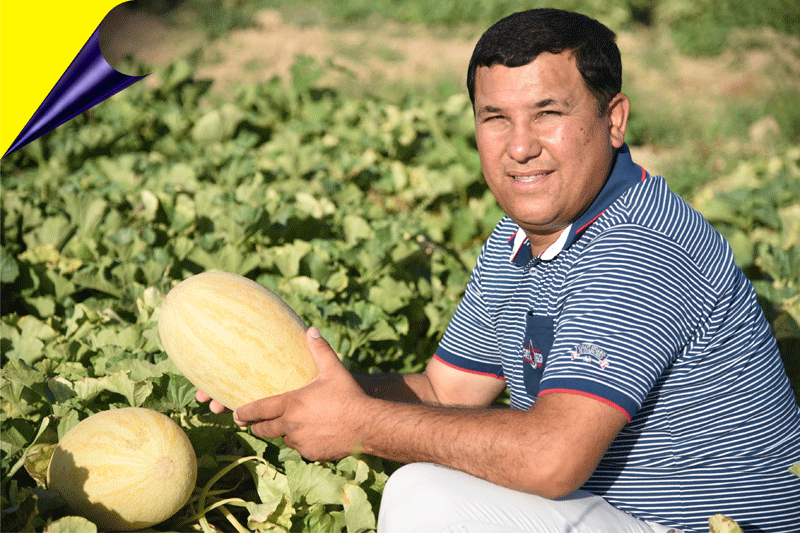 ХОРИЖЛИК ҲАМКОРЛАР ҚОВУН, ЎРИК ВА ПОМИДОРГА ХАРИДОР