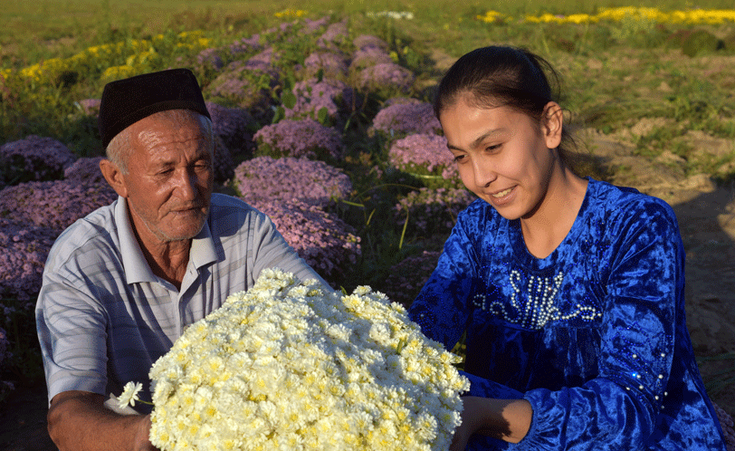 Гул - гўзаллик, гул - кайфият, гул - даромад